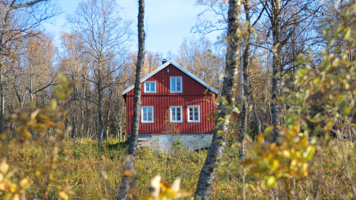 shallow focus photo of brown 2-story house